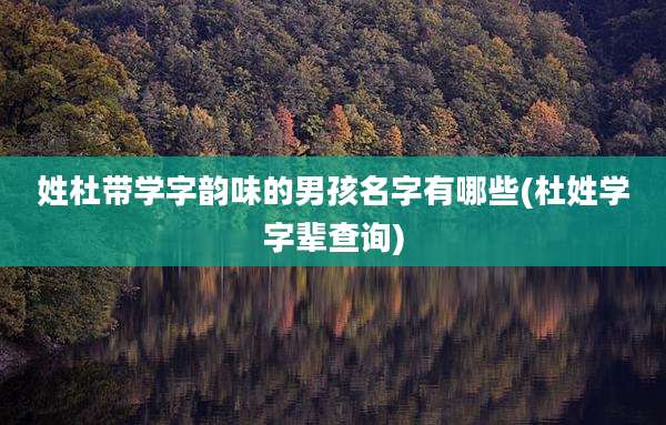 姓杜带学字韵味的男孩名字有哪些(杜姓学字辈查询)