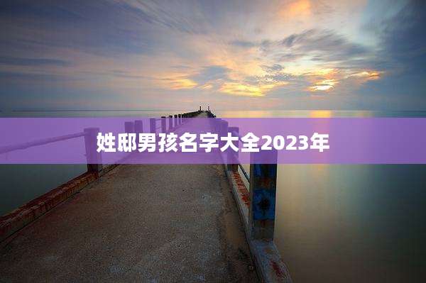 姓邸男孩名字大全2023年