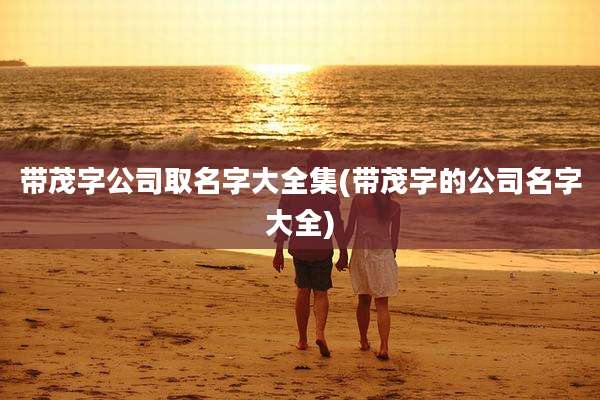 带茂字公司取名字大全集(带茂字的公司名字大全)