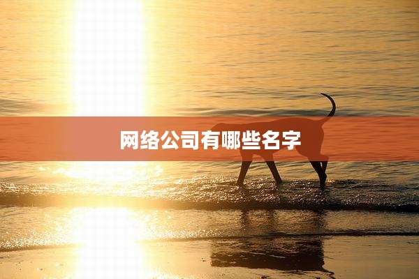 网络公司有哪些名字