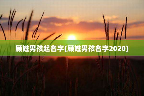 顾姓男孩起名字(顾姓男孩名字2020)