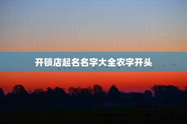 开锁店起名名字大全农字开头
