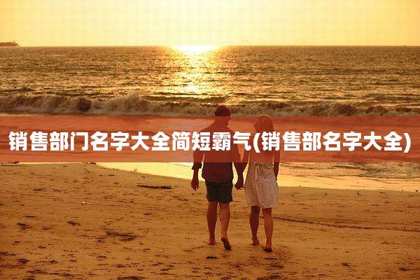 销售部门名字大全简短霸气(销售部名字大全)