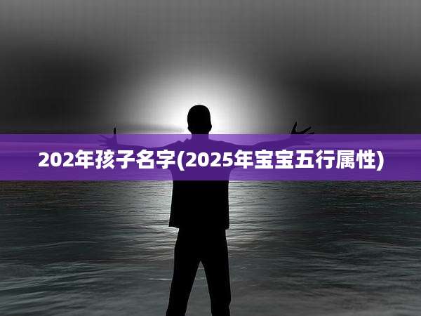 202年孩子名字(2025年宝宝五行属性)