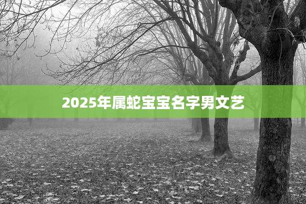 2025年属蛇宝宝名字男文艺
