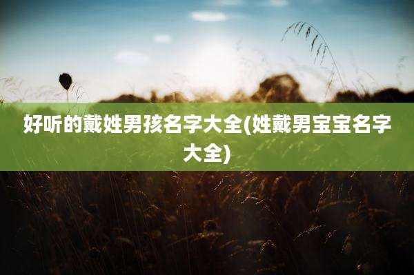 好听的戴姓男孩名字大全(姓戴男宝宝名字大全)