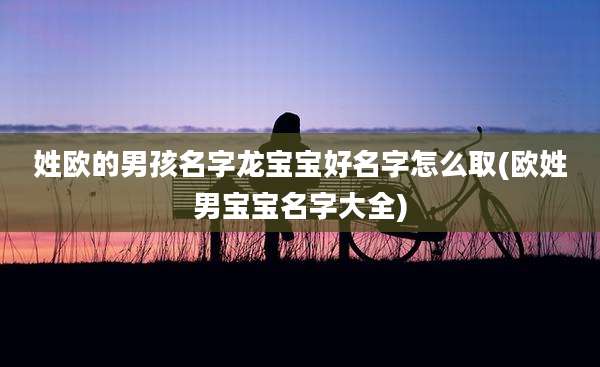 姓欧的男孩名字龙宝宝好名字怎么取(欧姓男宝宝名字大全)