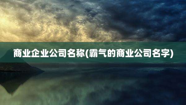商业企业公司名称(霸气的商业公司名字)