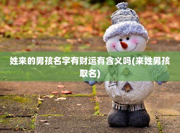 姓来的男孩名字有财运有含义吗(来姓男孩取名)