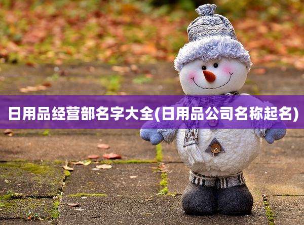 日用品经营部名字大全(日用品公司名称起名)
