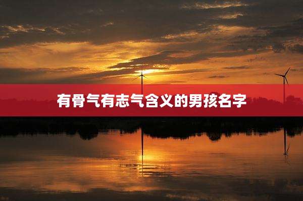 有骨气有志气含义的男孩名字