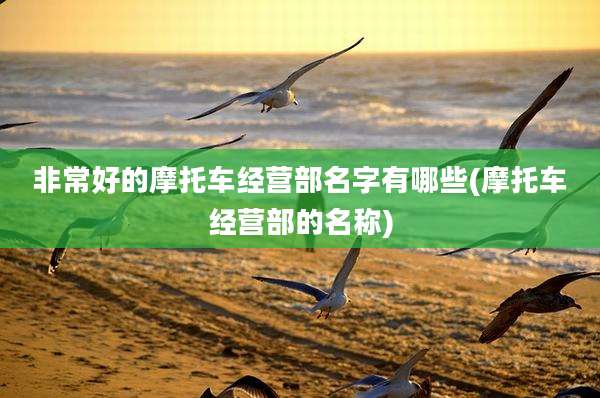 非常好的摩托车经营部名字有哪些(摩托车经营部的名称)