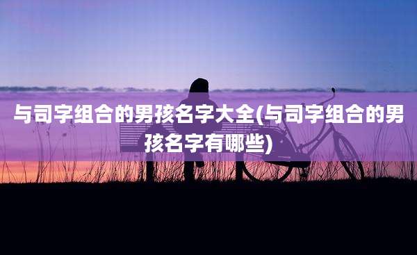 与司字组合的男孩名字大全(与司字组合的男孩名字有哪些)