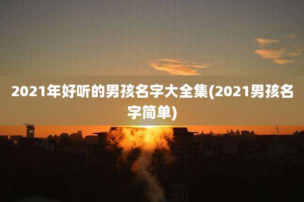 2021年好听的男孩名字大全集(2021男孩名字简单)