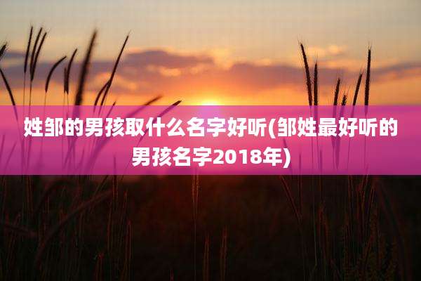 姓邹的男孩取什么名字好听(邹姓最好听的男孩名字2018年)