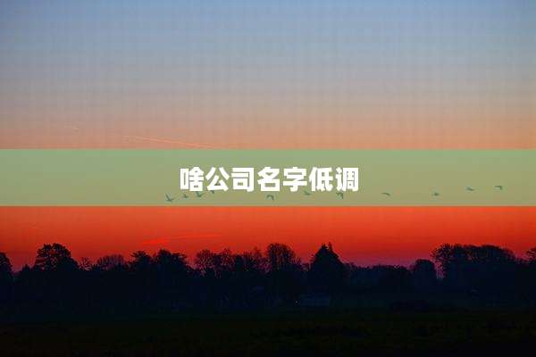 啥公司名字低调