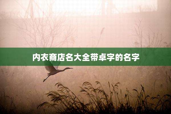 内衣商店名大全带卓字的名字