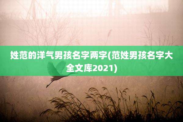 姓范的洋气男孩名字两字(范姓男孩名字大全文库2021)