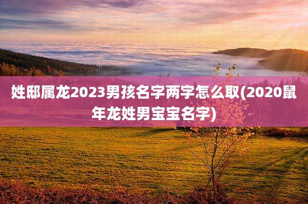 姓邸属龙2023男孩名字两字怎么取(2020鼠年龙姓男宝宝名字)