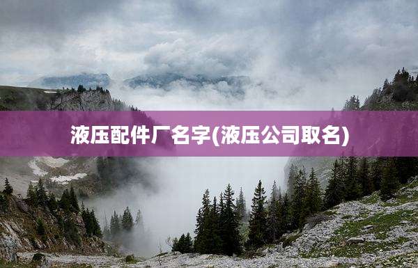 液压配件厂名字(液压公司取名)