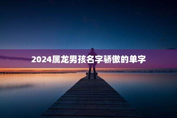 2024属龙男孩名字骄傲的单字