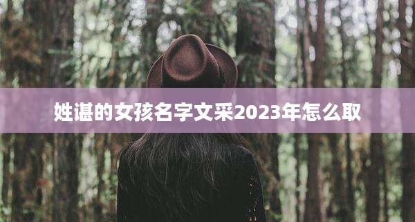姓谌的女孩名字文采2023年怎么取