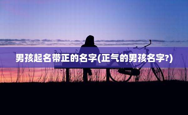 男孩起名带正的名字(正气的男孩名字?)