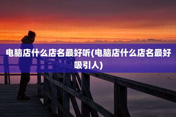 电脑店什么店名最好听(电脑店什么店名最好吸引人)