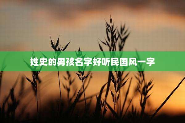 姓史的男孩名字好听民国风一字