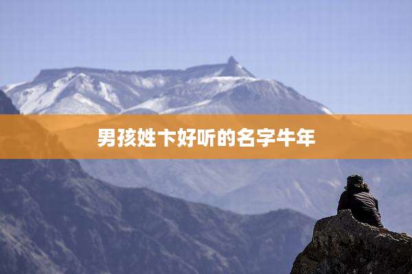 男孩姓卞好听的名字牛年