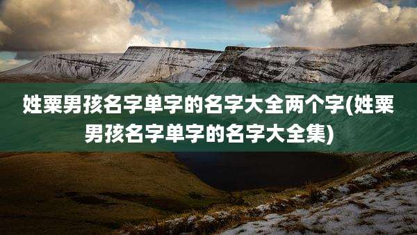 姓粟男孩名字单字的名字大全两个字(姓粟男孩名字单字的名字大全集)