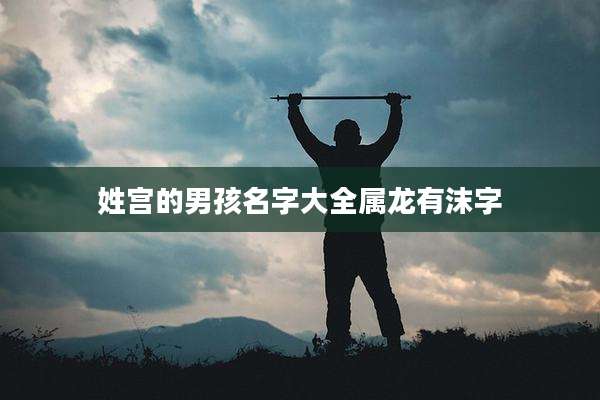 姓宫的男孩名字大全属龙有沫字