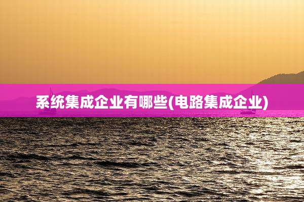 系统集成企业有哪些(电路集成企业)