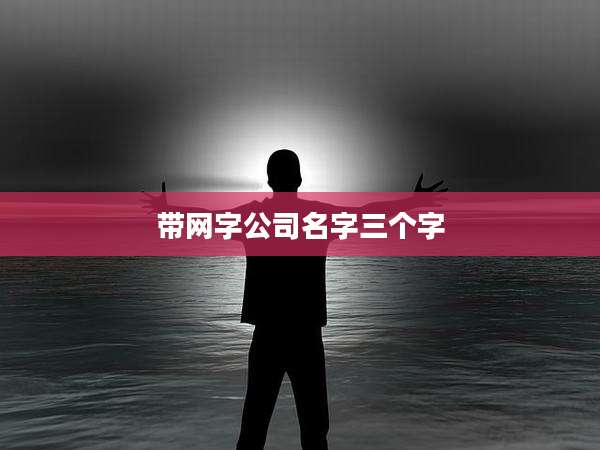 带网字公司名字三个字