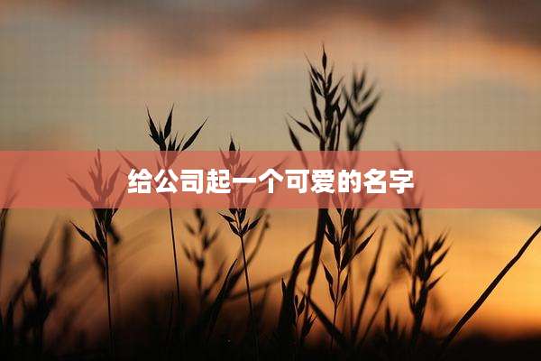 给公司起一个可爱的名字