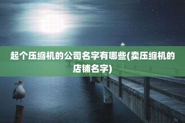 起个压缩机的公司名字有哪些(卖压缩机的店铺名字)