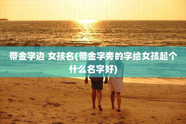 带金字边 女孩名(带金字旁的字给女孩起个什么名字好)