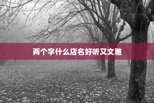 两个字什么店名好听又文雅