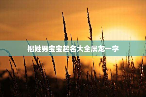 揭姓男宝宝起名大全属龙一字