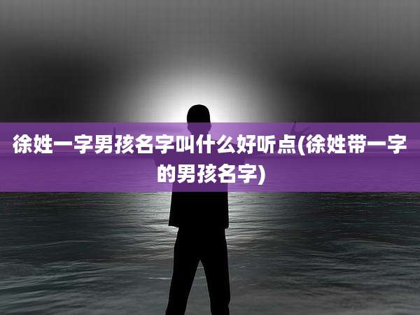 徐姓一字男孩名字叫什么好听点(徐姓带一字的男孩名字)