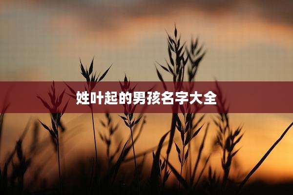 姓叶起的男孩名字大全