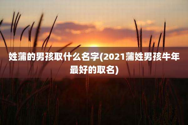 姓蒲的男孩取什么名字(2021蒲姓男孩牛年最好的取名)