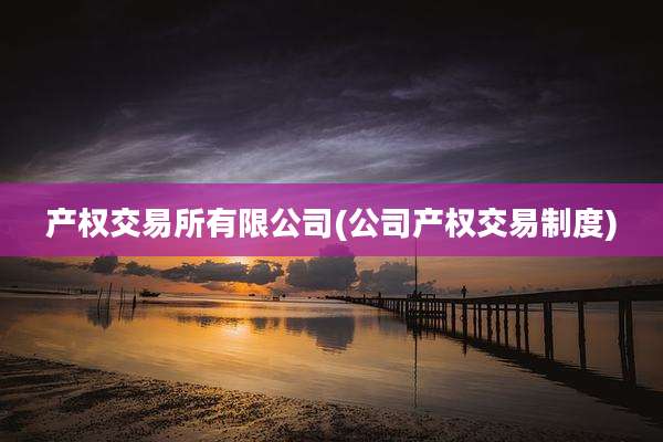 产权交易所有限公司(公司产权交易制度)