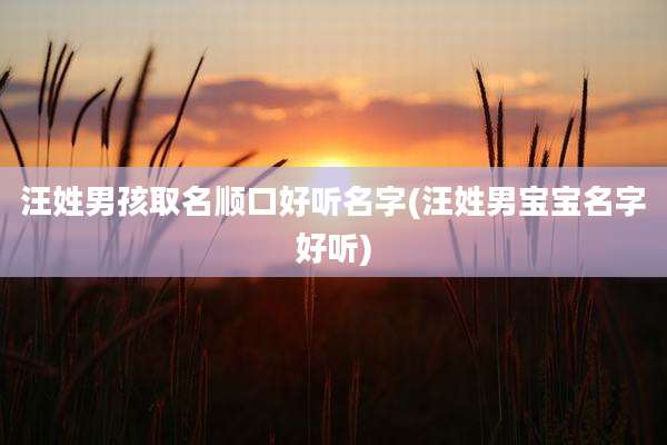汪姓男孩取名顺口好听名字(汪姓男宝宝名字好听)