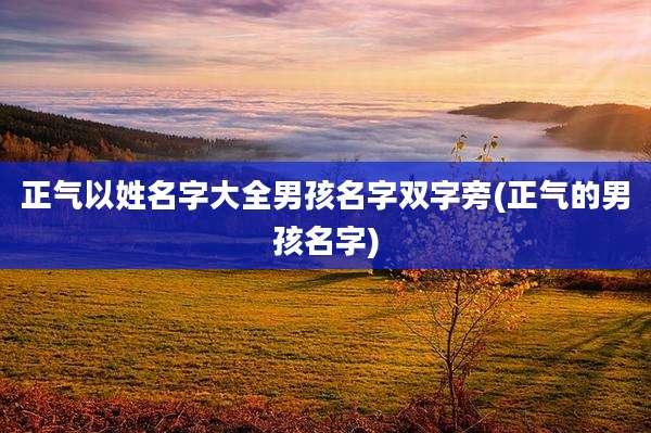 正气以姓名字大全男孩名字双字旁(正气的男孩名字)