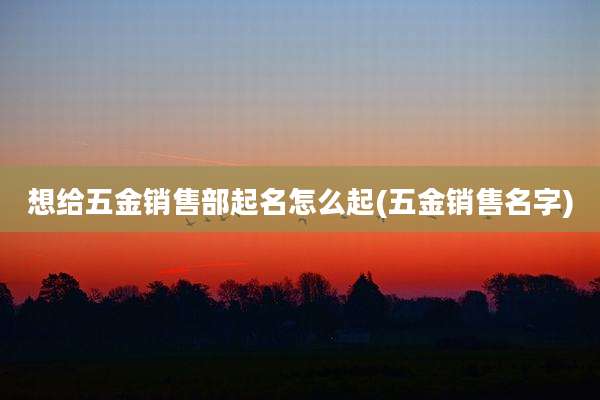 想给五金销售部起名怎么起(五金销售名字)