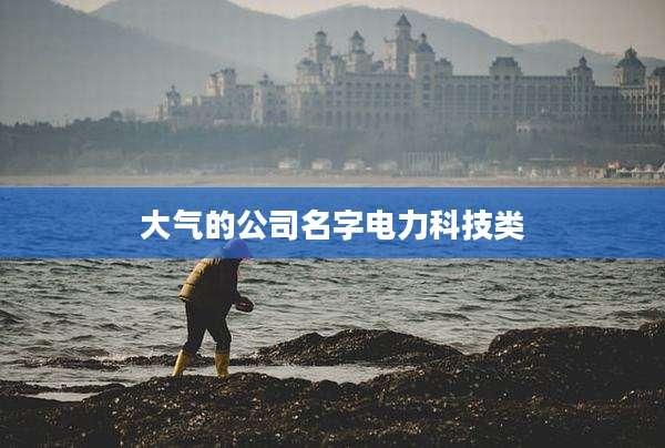 大气的公司名字电力科技类