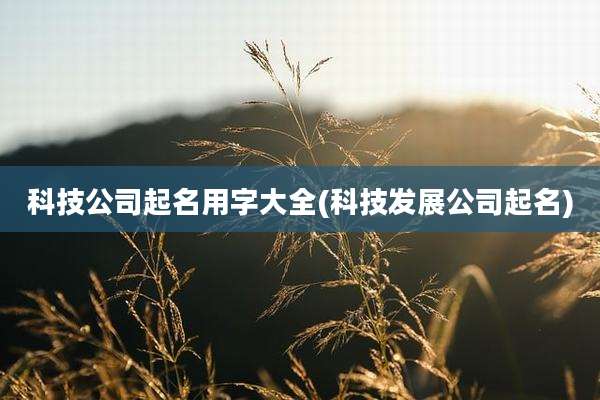 科技公司起名用字大全(科技发展公司起名)