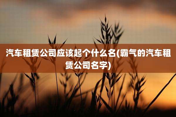 汽车租赁公司应该起个什么名(霸气的汽车租赁公司名字)
