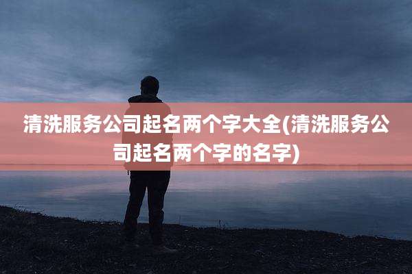 清洗服务公司起名两个字大全(清洗服务公司起名两个字的名字)